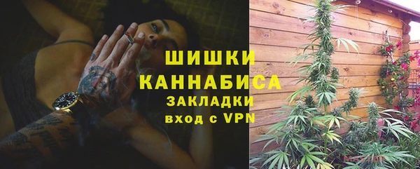 PSILOCYBIN Белоозёрский